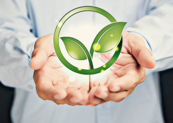 6 Tips On How To Become Greener As A Student