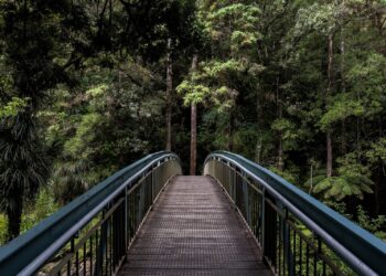 1440p nature wallpaper