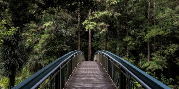 1440p nature wallpaper