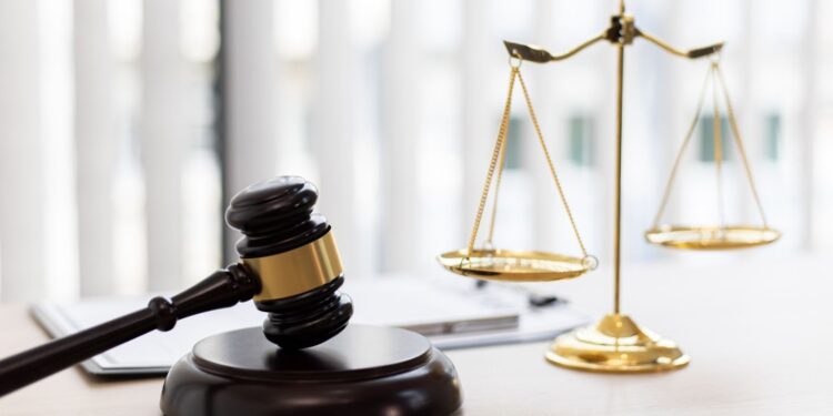 2018 2019 concurso ingreso basica cnspd mx snspd basica basing preregistro