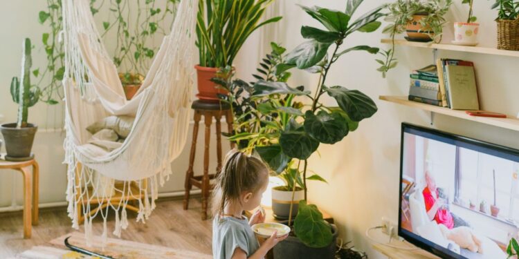 ulice 3665 online dailymotion