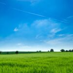 Yimusanfendi: How do you Calculate the Value of An Acre of Land?