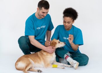 the pet blog lady celebrating our pets