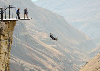 Untitled design (69)