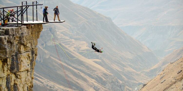 Untitled design (69)