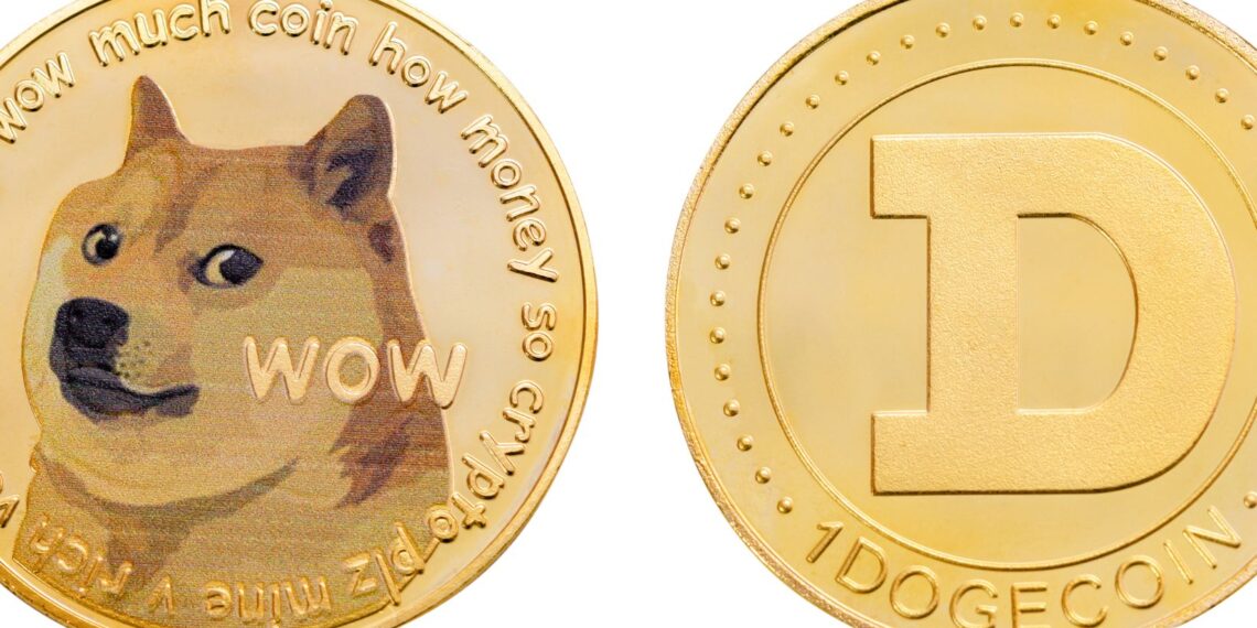 Decoding the Doge Killer Understanding LEASH's Purpose Zero 1 Magazine