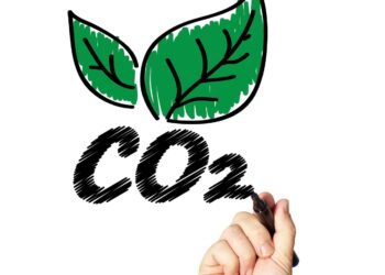 select the correct statement about the calvin cycle.