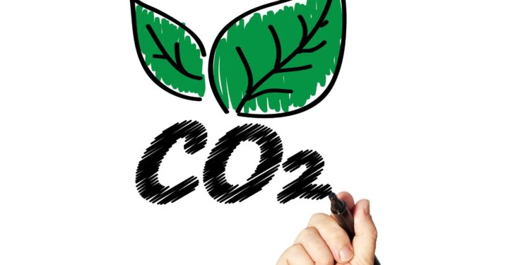 select the correct statement about the calvin cycle.