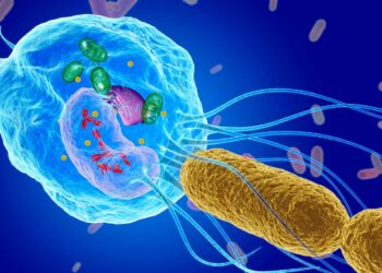 ion pumps and phagocytosis are both examples of