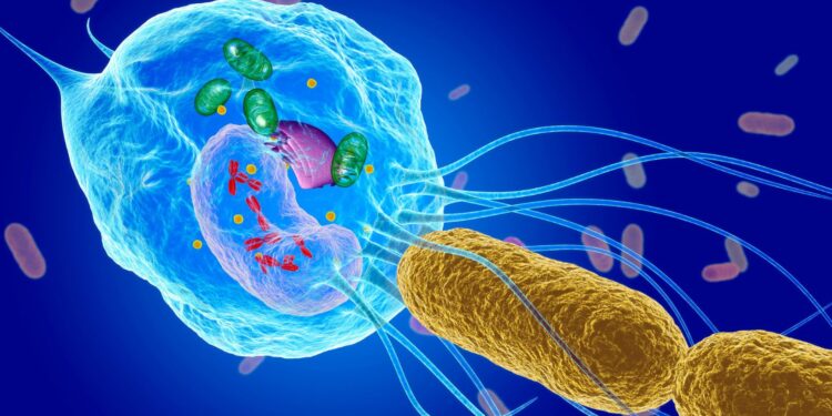 ion pumps and phagocytosis are both examples of