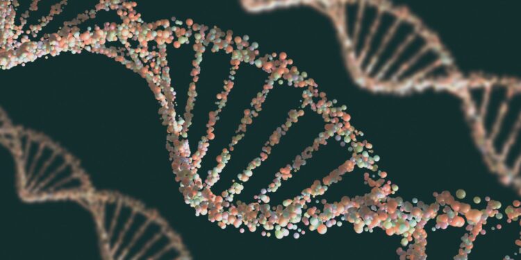 the correct structure of dna monomers can be presented as