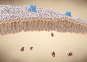 receptors for nonsteroid hormones are located in _____.