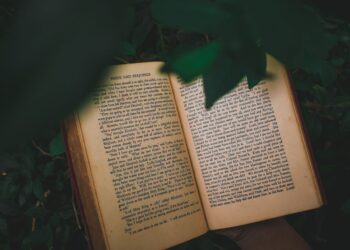 the gift of the magi questions and answers