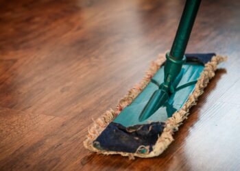 hay que limpiar la casa hoy