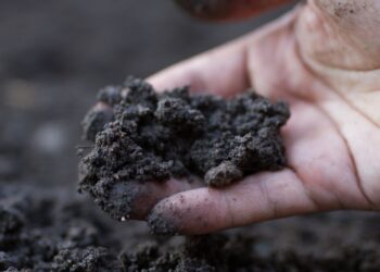 microorganisms and humus have little impact on soil health.