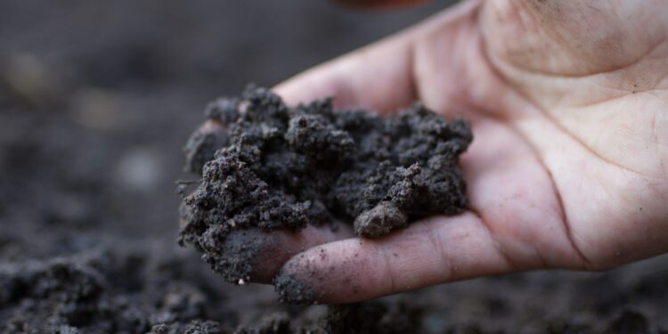 microorganisms and humus have little impact on soil health.