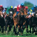 Race to Riches: Experience The Heart-Pounding Thrill of Online Horse Racing Betting