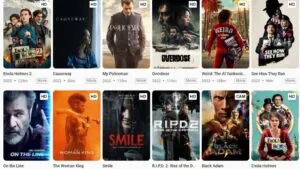 1filmy4wap.com